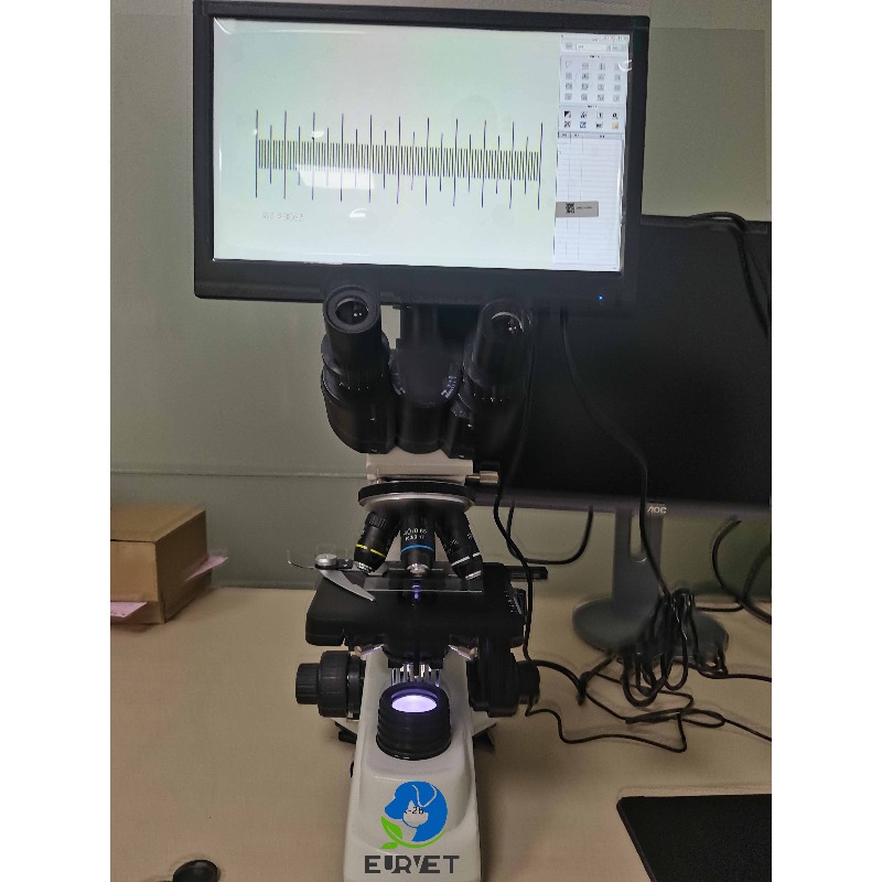 2026년형 의료 실험실 디지털 생물학 현미경 (과학자 - Medical Laboratory Scientist 리뷰 및 가격
